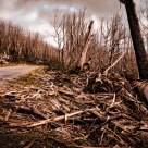 Wildfire Destruction